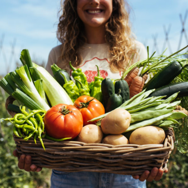 Visitas y experiencias para grupos en la Huerta de Rizos