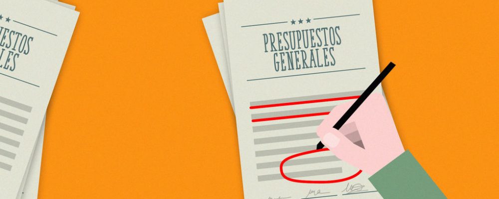 Informe del CERMI sobre medidas contenidas en los Presupuestos Generales