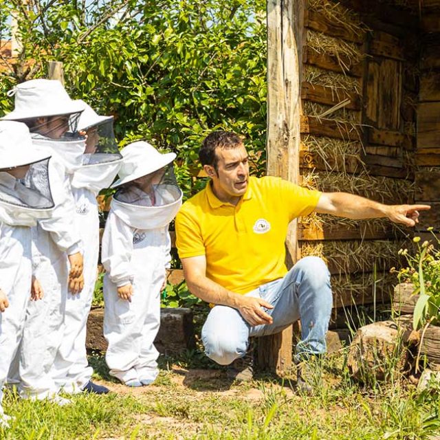 Conoce el mundo de las abejas en La Mielería